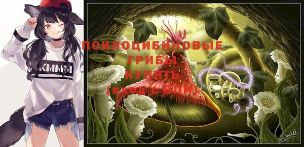 mix Нязепетровск