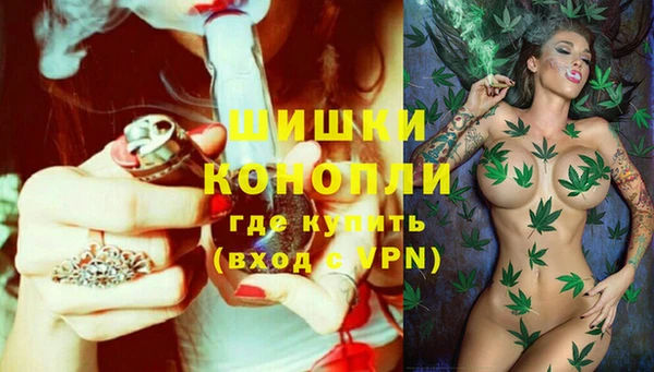 первитин Болотное