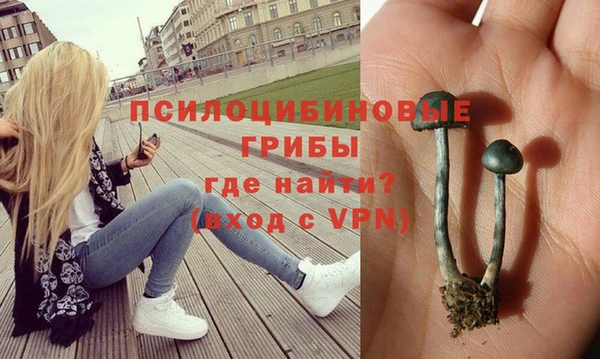 первитин Болотное