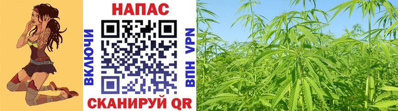 МАРИХУАНА Amnesia  продажа наркотиков  Спасск-Рязанский 